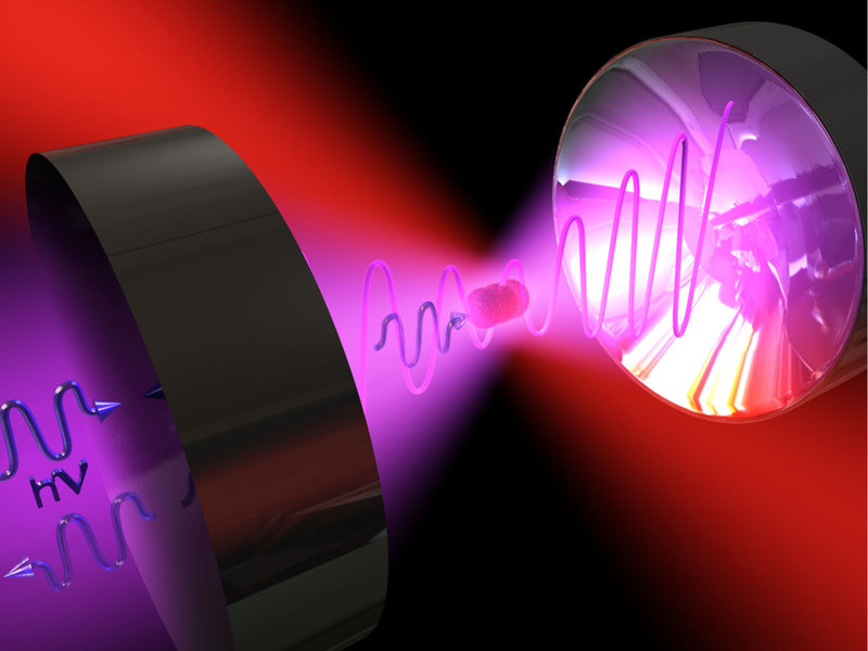 Quantum mechanics as a sociology of matter1 - arXiv