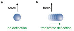 <p><em>Fig. 2: The Chern-number measurement using an external force. <strong>a.</strong> The atoms are not deflected in a conventional lattice with zero Chern number. <strong>b.</strong> When the Chern number is ν<sub>ch</sub> = 1, the atoms are deflected transverse to the force. </em></p>