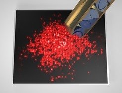 <em>Single atom resolved fluorescence image of a band insulator of fermionic lithium in an optical lattice.</em>