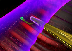 When laser light interacts with a nanoneedle (yellow), electromagnetic near-fields are formed at its surface. A second laser pulse (purple) emits an electron (green) from the needle, permitting to characterize the near-fields.