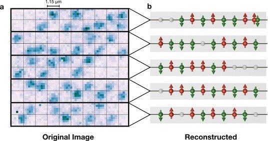 <p><em>Abb. 1: In (a) werden die direkten Bilder der eindimensionalen atomaren Ketten gezeigt. Die dicken waagerechten Linien markieren die Barriere zwischen den unterschiedlichen Ketten. Atome oberhalb der gestrichelten Linie haben aufwärts gerichtete magnetische Momente (rot), und umgekehrt (grün), wie in dem rekonstruierten Bild (b) dargestellt wird. In einigen Fällen werden doppelt besetzte Plätze oder Löcher nachgewiesen. <br /></em></p>