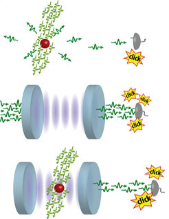 <p><em>Veranschaulichung der Zwei-Photonen-Blockade.</em></p>
<p><strong><em>Oben</em></strong><em>: Unter Bestrahlung mit Laserpulsen kann ein einzelnes Atom im freien Raum nur ein Photon speichern und aussenden, wobei die Richtung nicht vorgegeben ist.</em></p>
<p><strong><em>Mitte</em></strong><em>: Der Resonator alleine kann beliebig viele Photonen aufnehmen und wieder aussenden.</em></p>
<p><strong><em>Unten</em></strong><em>: Bei dem stark gekoppelten Atom-Resonator-System kann die Frequenz des Laserlichts so gewählt werden, dass das System maximal zwei Photonen speichern und wieder aussenden kann.</em></p>
