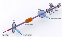 A cloud of cold atoms is illuminated with red signal light and blue coupling light. The light pulses are superimposed on dichroic mirrors (DM). With wave plates (WP), a polarizing beam splitter (PBS), and avalanche photodiodes (APD) the polarization of the transmitted signal light is determined.