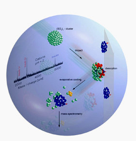 what type of biomolecule is insulin