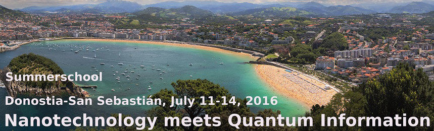 Nanotechnology meets Quantum Information