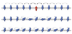 Illustration of the propagation of the spin impurity (red) through a chain of atoms with initially opposite spin.