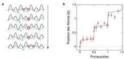 Realisierung einer topologischen Ladungspumpe in einem optischen Übergitter. (a) Durch Überlagerung zweier Stehwellen mit unterschiedlicher Periode wird ein optisches Übergitter erzeugt, dessen Form durch Verschieben des langen Gitters (grün) verändert werden kann. Dadurch wird eine Bewegung der Atome im Gitter hervorgerufen, bei der diese durch die Barrieren zwischen benachbarten Gitterplätzen hindurchtunneln. (b) Gemessene Position der Atomwolke während eines Pumpzyklus, in dem sich die Atome um genau eine Periode des langen Gitters dl bewegen.