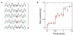 Implementation of a topological charge pump in an optical superlattice. (a) An optical superlattice is created by superimposing two standing waves with different periods. Its shape can be changed by moving the long lattice (depicted in green). This induces a motion of the atoms in the lattice where they tunnel through the barriers between neighbouring lattice sites. (b) Measured position of the atom cloud for one pump cycle during which the atoms move by exactly one period of the long lattice dl.