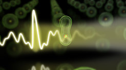 Optical attosecond flashes capture the motion of sluggish electrons.