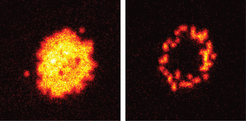 Fig. 1: From the starting state densely filled with atoms (left), a ring-like structure emerges due to the long range interaction (right).