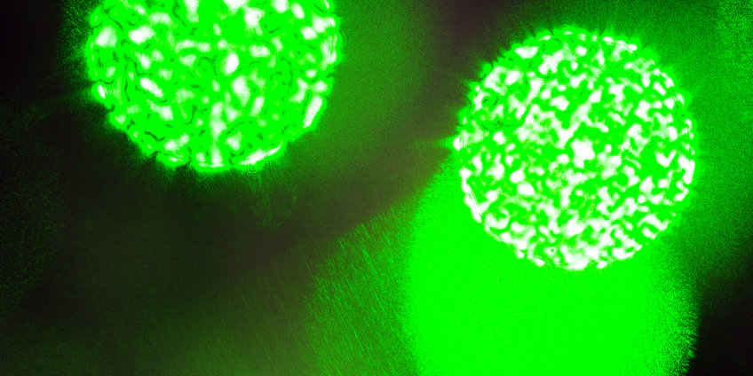 Quantum Dynamics Quantum Dynamics