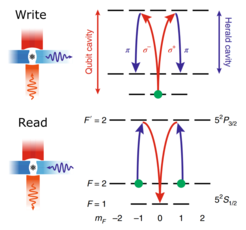 Memory writing and reading schemes with the atom states involved