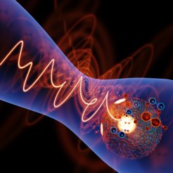 Ein Nanopartikel im Feld eines Femtosekunden-Laserpulses mit maßgeschneiderter Wellenform und Polarisation. Die kontrollierte Verstärkung des Feldes in bestimmten nanoskopischen Bereichen des Nanopartikels (gelbe Flecken) führt zu ortsselektiven photochemischen Reaktionen der an der Oberfläche adsorbierten Moleküle. Die Abbildung der von diesen Regionen emittierten Molekülfragmente ermöglicht eine rein optische Kontrolle der Reaktionsorte mit einer Auflösung im Nanometerbereich. Abbildung: RMT.Bergues.