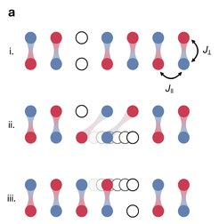 Binding mechanism in a magnetically ordered system. The red and blue spheres are spins of opposite orientations, the shaded bands connecting the spheres show the magnetic order. The white spheres are holes. When a hole moves as shown in (i) and (ii), it perturbs the magnetic order. However, if a second hole is connected to the first, as in (iii), the magnetic order is maintained despite movement. The holes thus pair to maintain the magnetic order in the system.