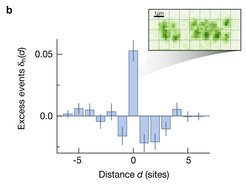 The graph shows an experimentally measured hole distribution, with a clear maximum at distance d=0, which corresponds to two neighbouring holes and shows that the holes pair. In the inset, an exemplary experimental image of our quantum gas microscope with neighbouring holes at distance d=0. Each green spot is the signal of a single atom.