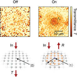 Flipping the switch changes the optical properties. On the left, the optical mirror is tuned to the “off” state, with the atomic array being transparent (T). On the right, the optical mirror is turned “on” and reflects the incoming photons (R), as indicated by the orange-coloured circle in the upper image.