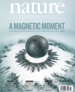 The research result of Joannis Koepsell and his colleagues made it to the cover of the journal Nature in 2019.