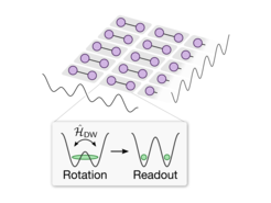 Schematic illustration of the projection of quantum many-body wave function onto isolated double wells for realizating basis rotations before readout.