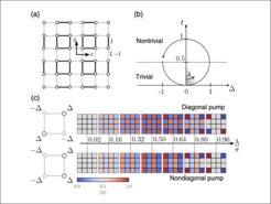 Thouless pumps in the 2D superlattice Bose-Hubbard model. (a) Schematic of the 2D superlattice potential. (b) Thouless pump, with Δ controlling additional on-site potentials. (c) Density evolution during a diagonal (upper panel) and a nondiagonal (lower panel) half-Thouless pump.