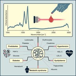 Graphical abstract