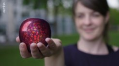 Source: ARTE “Verändern Quanten unsere Realität? 42 - Die Antwort auf fast alles”(https://www.arte.tv/de/videos/115511-004-A/veraendern-quanten-unsere-realitaet/)