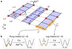 Implementation of the Hofstadter-Bose-Hubbard model on two-leg ladders (a), and experimental measurement of local particle currents using superlattice basis rotations (b).