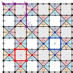 Ein Modell eines zweidimensionalen Quantenmaterials, in dem Parateilchen entstehen. Die farbigen Dreiecke und die Plaquette-Schleifen beschreiben lokale Wechselwirkungen in diesem Modell.