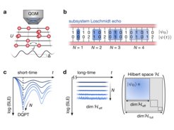 Using a caesium quantum gas microscope (a), we obtain snapshots of the time-evolved wavefunction from which we calculate the subsystem Loschmidt echo (b). We then probe its short- and long-time dynamics (c, d).