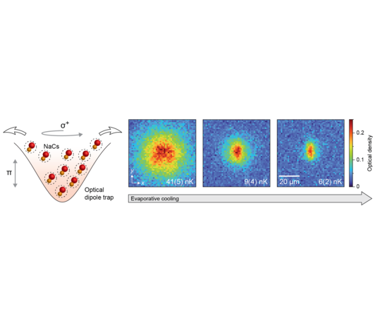 “Creating and Exploring Bose-Einstein Condensates of Dipolar Molecules” (Prof. Sebastian Will) “Creating and Exploring Bose-Einstein Condensates of Dipolar Molecules” (Prof. Sebastian Will)