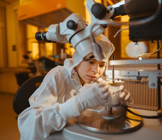 MQV-Einblicke – "Atom für Atom zu neuen Materialien" MQV-Einblicke – "Atom für Atom zu neuen Materialien"